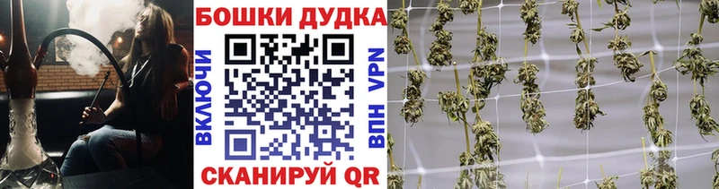 Где купить наркоту Зеленогорск A-PVP МЕФ ГАШ Конопля