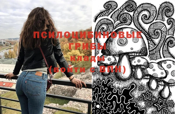jwh Гусев
